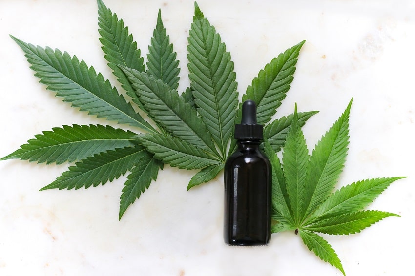 Huile CBD ou Huile de Graine de chanvre, quelles différences ?